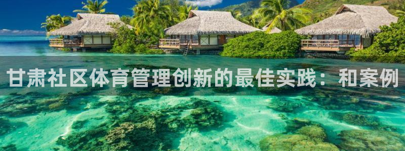 必一体育网页登录版官网