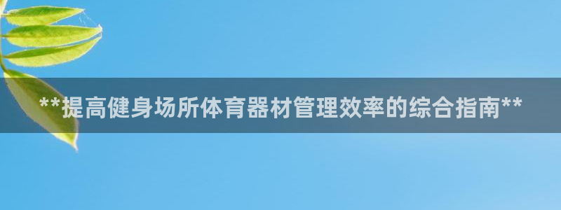 必一体育网址：**提高健身场所体育器材管理效率的综合指南**